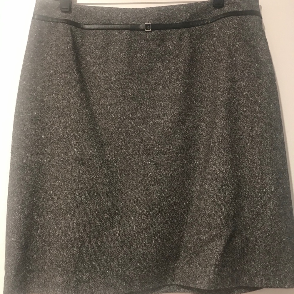 Ann Taylor Skirt